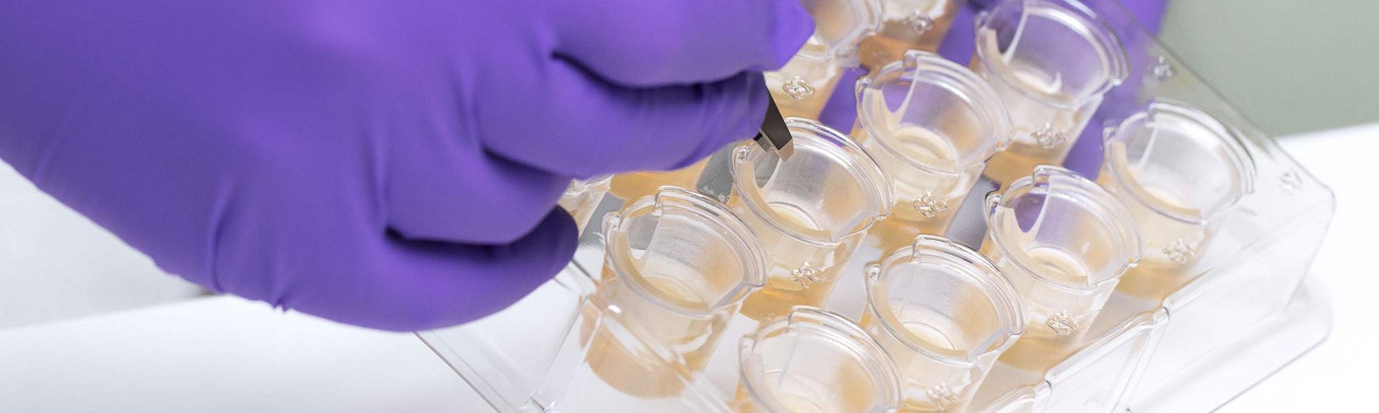 The Other Side Our Ethics Hero Banner